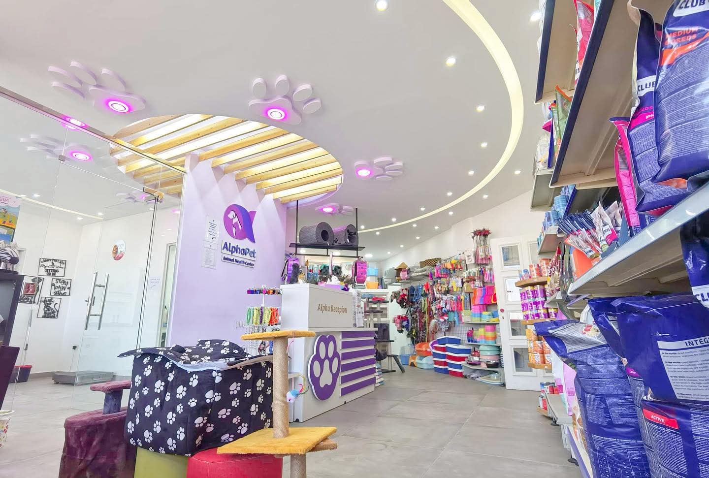 Veterinary care in clinic