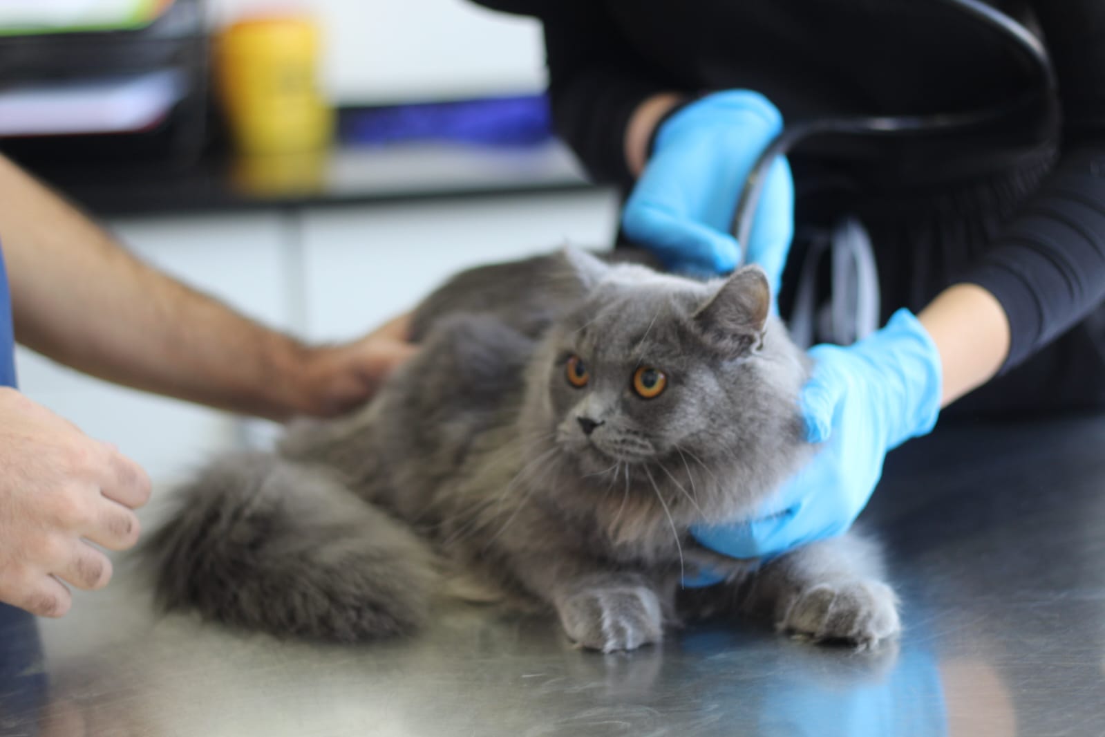 صورة لخدمة تنظيف وعناية