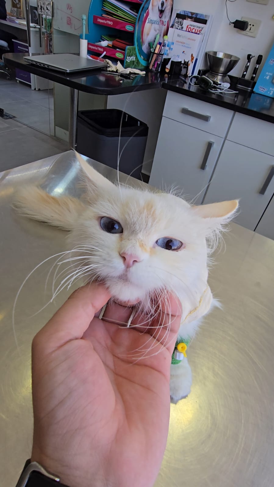 صورة لخدمة علاج